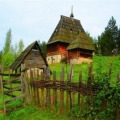 rasiv (7)